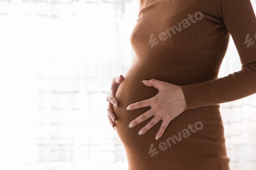 Preview: Pretty young pregnant woman standing by the window in home