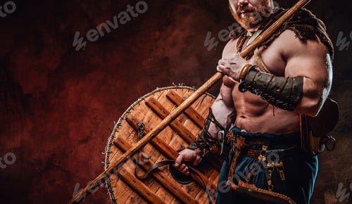 Preview: Powerful viking holding shield and spear in dark background