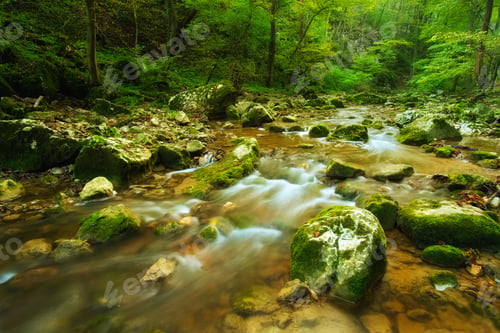 Preview: Stream in autumn forest