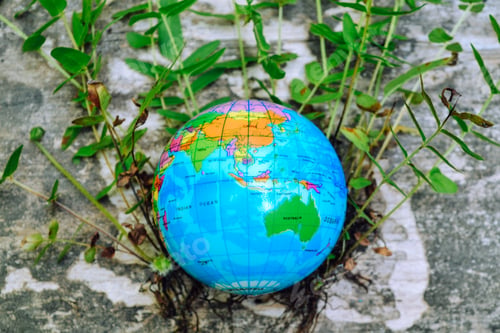 Preview: Earth Day Concept