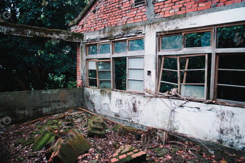 Preview: Abandoned old building with destroyed windows in the forest