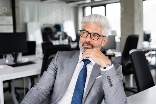 Preview: Mature businessman in gray suit in the office.