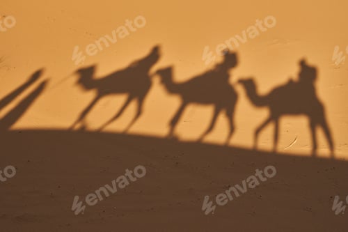 Preview: Shadow on sand of camels and people