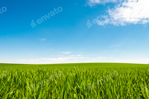 Preview: Green hill with dreamy clouds and blue sky in the background.