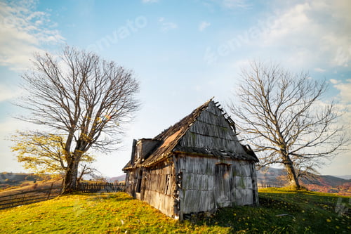 Preview: Abandoned wooden house surrounded by bare trees in highland