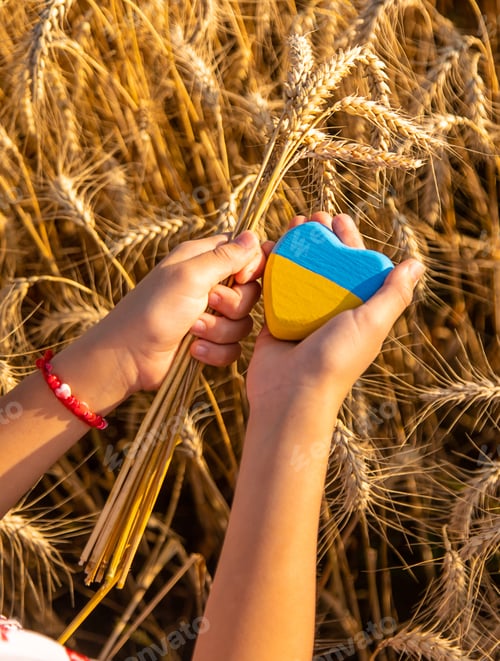 Preview: Child in a field of wheat with the flag of Ukraine. Selective focus.