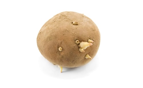 Preview: potato