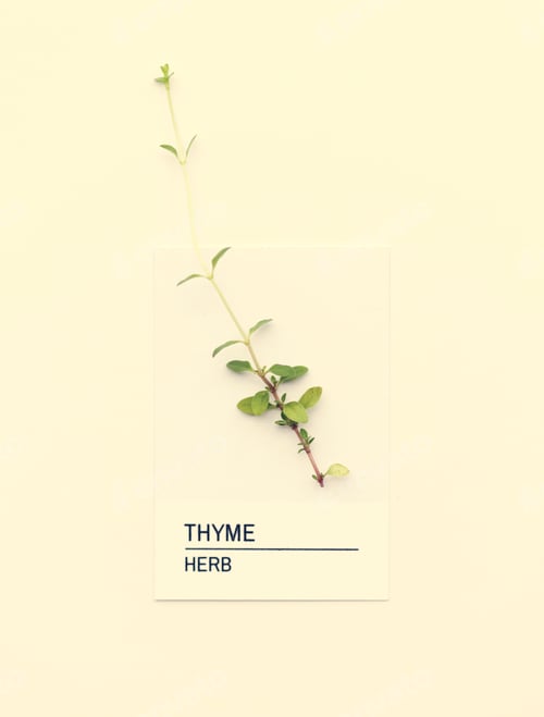 Preview: Thyme herb