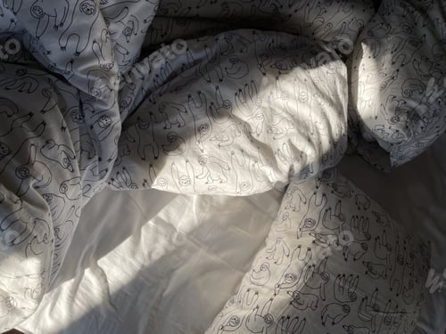 Preview: Closeup shot of a cozy bed with duvet and pillow in the sunlight