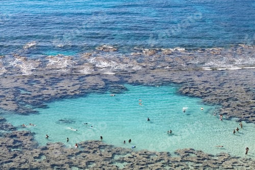 Preview: snorkeling in hanauma bay