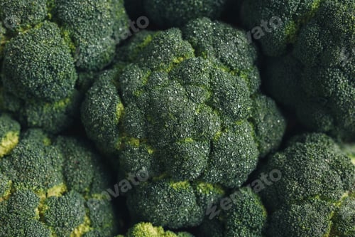 Preview: Fresh green broccoli, drops of water on broccoli