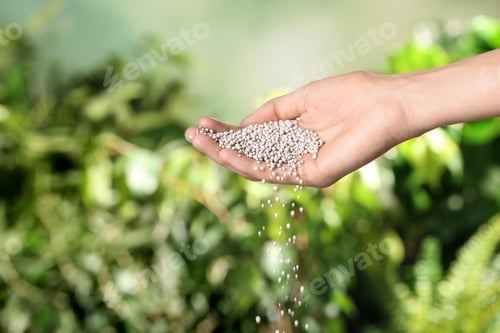 Preview: Woman pouring fertilizer on blurred background, closeup with space for text. Gardening time