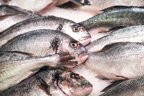 Preview: Fresh raw fish in ice on the counter in a grocery store.