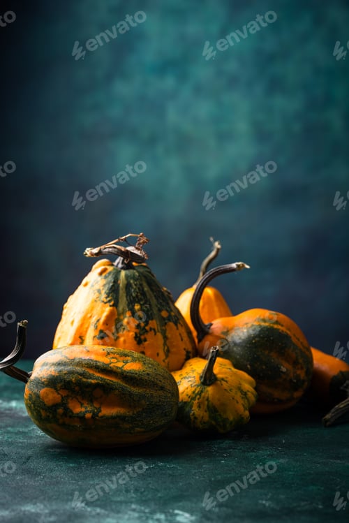 Preview: Various decorative pumpkin on green background