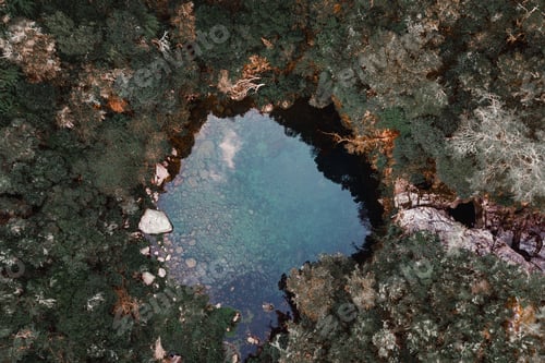 Preview: Secret lagoon in forest