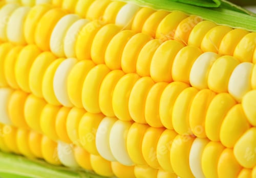 Preview: corn cob