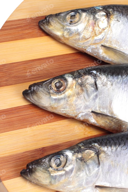 Preview: fish close up
