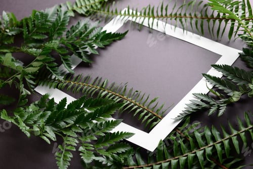 Preview: Paper Frame And Green Fern Leaves On Dark Background