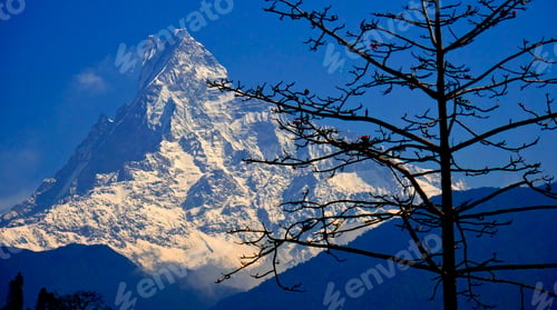 Preview: Machapuchare Holy Mountain, Fish Tail, Annapurna Conservation Area, Nepal
