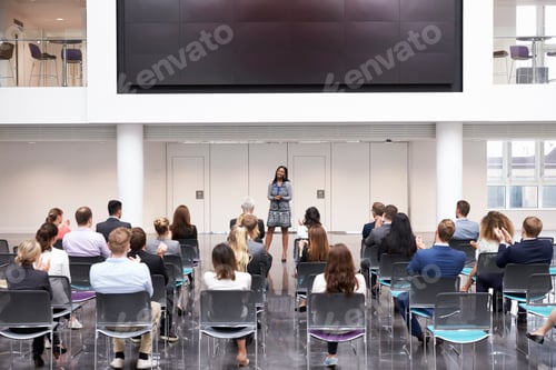 Preview: Businesswoman Making Presentation At Conference