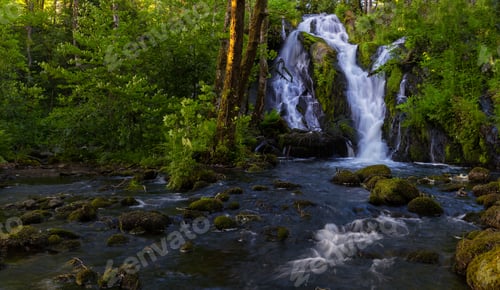 Preview: Waterfall In A Forest