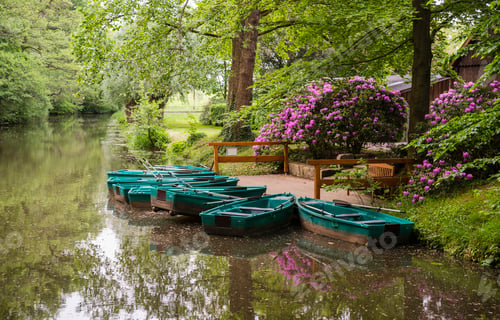 Preview: green boats and flowering rhododendrons at the river