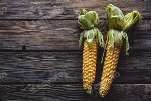 Preview: fresh corn on wooden table