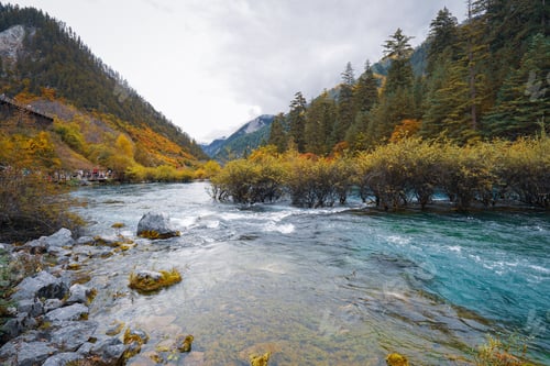 Preview: Mountain river with clear water flowing through autumn forest and rocky shore under cloudy sky