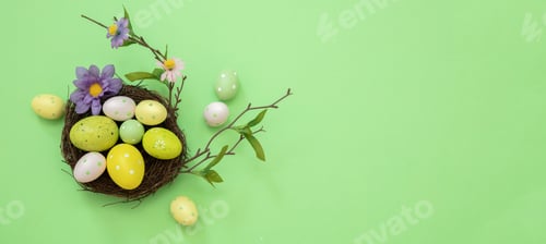 Preview: Easter nest, Pastel color paint egg and flower decoration on green, overhead. Spring Holiday