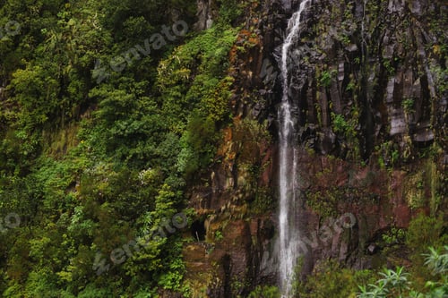 Preview: Travelling and exploring Madeira island landscapes and famous places. Levada Caldeirão Verde hiking