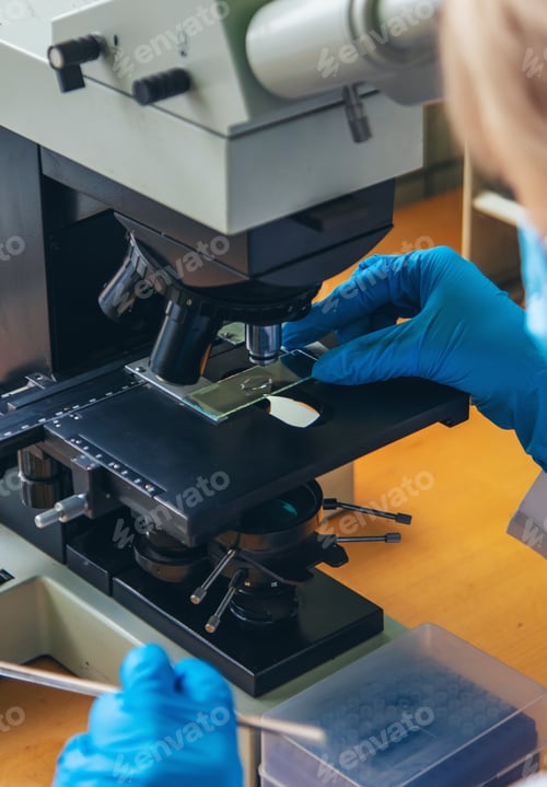 Preview: Examine in the laboratory under a microscope. Selective focus.
