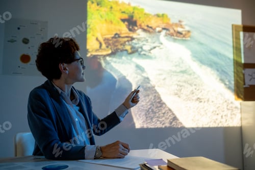Preview: Young teacher pointing at coastline during video presentation