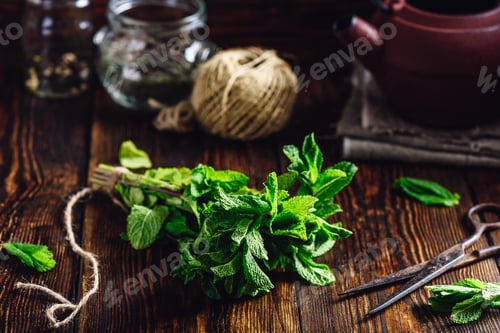 Preview: Bunch of Mint in rustic setting