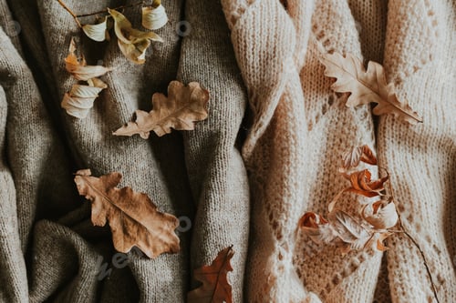 Preview: Autumn Leaves on a Neutral Sweater Background