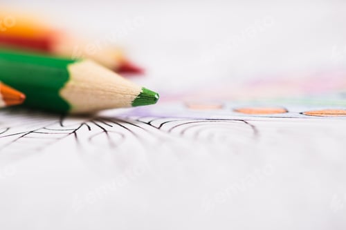 Preview: Multi-colored pencils and coloring book for adults