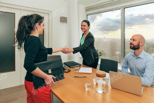 Preview: handshaking at work interview - female colleagues greet each other in the office