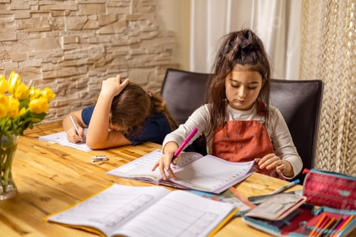 Preview: Two teen girls of ten years old children at home lessons, homeschooling, lectures, elementary school