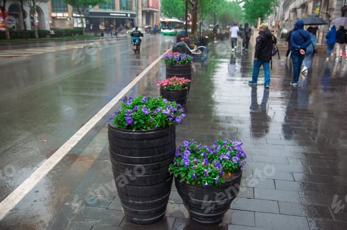 Preview: beautiful giant flower pots on the roadside during rainy days