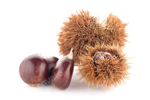 Preview: Chestnuts with shell