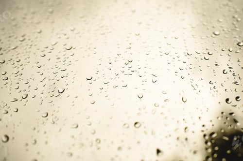 Preview: Drops of rain on an autumn day on a glass.