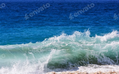 Preview: Wave