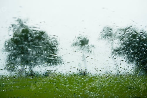 Preview: Raindrops clinging to a window with blurred trees in the background