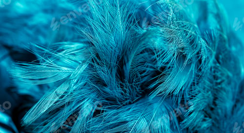 Preview: blue feathers with visible detail. background or texture