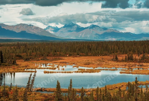 Preview: Autumn in polar tundra
