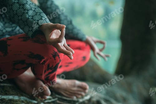 Preview: Meditation
