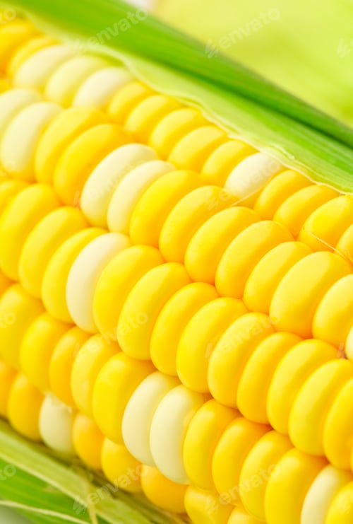 Preview: corn cob
