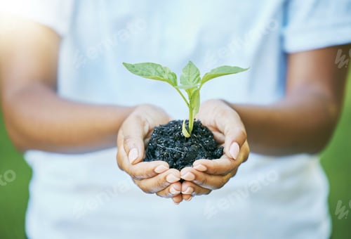 Preview: Hands, plants and growth for earth day, sustainability and volunteering in gardening, agriculture o