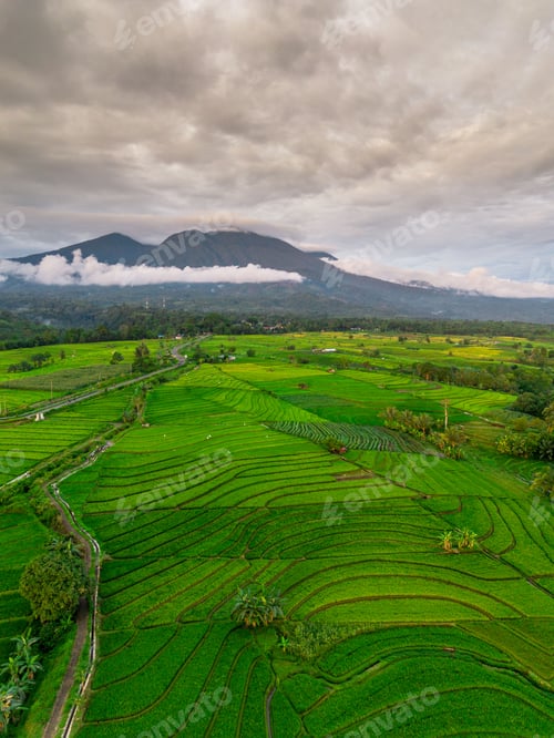 Preview: Beautiful morning view indonesia panorama landscape