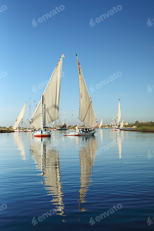 Preview: Felucca boats on river nile at luxor