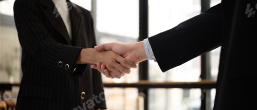Preview: Businessmen shake hands after a meeting, congratulating colleagues and reaching a business agreement